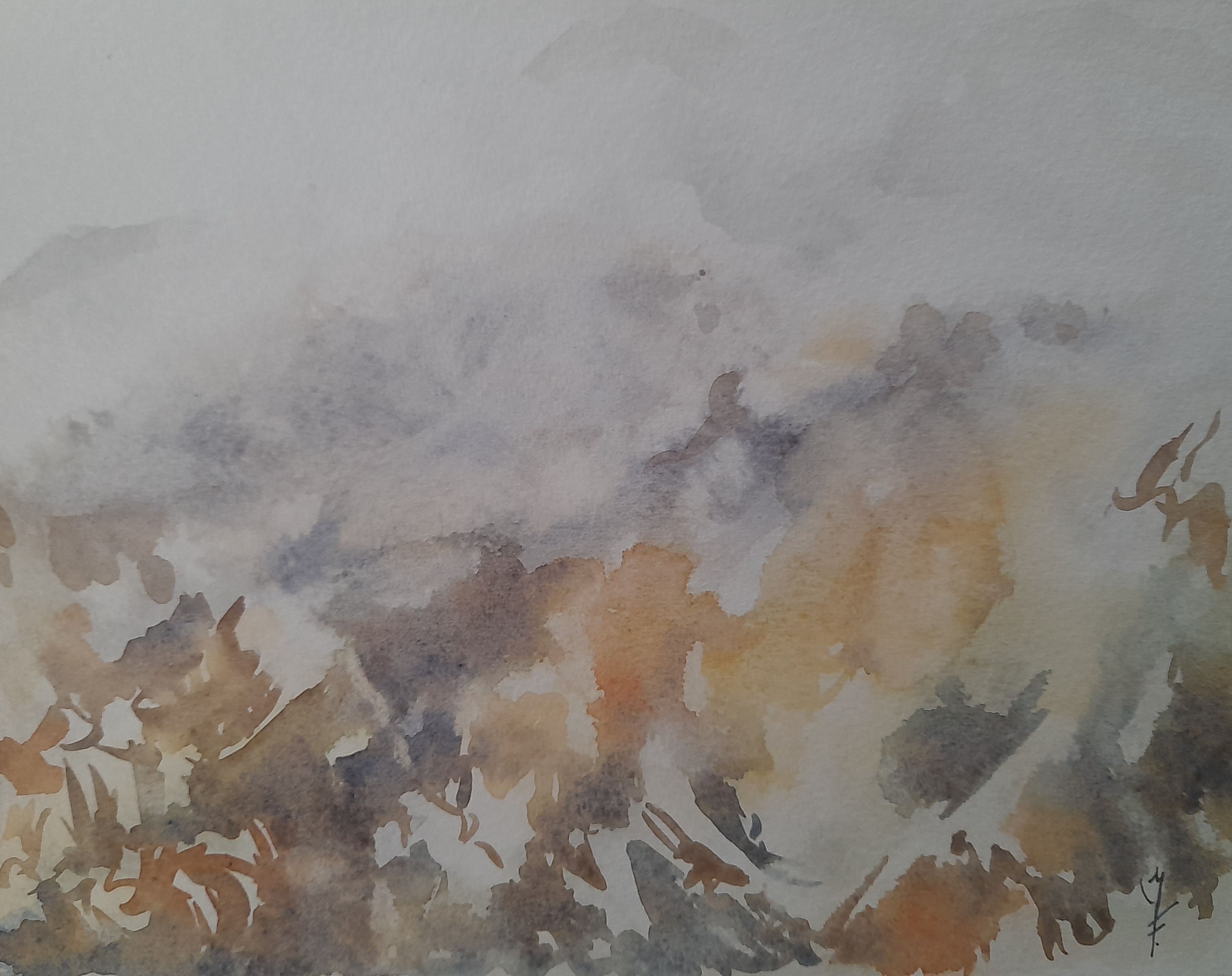 aquarelles-5.jpg